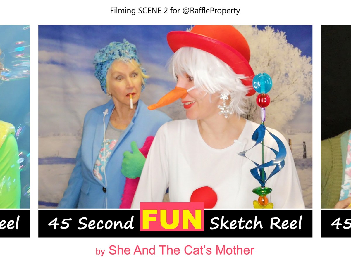 Subtitled video: The difference between a property raffle and a house&nbsp;competition